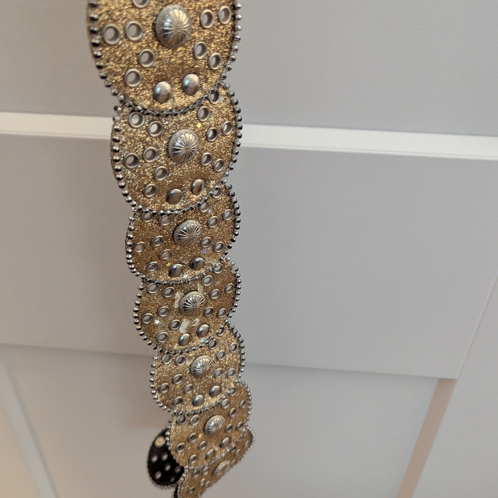 Gold and Silver Decorative Belt